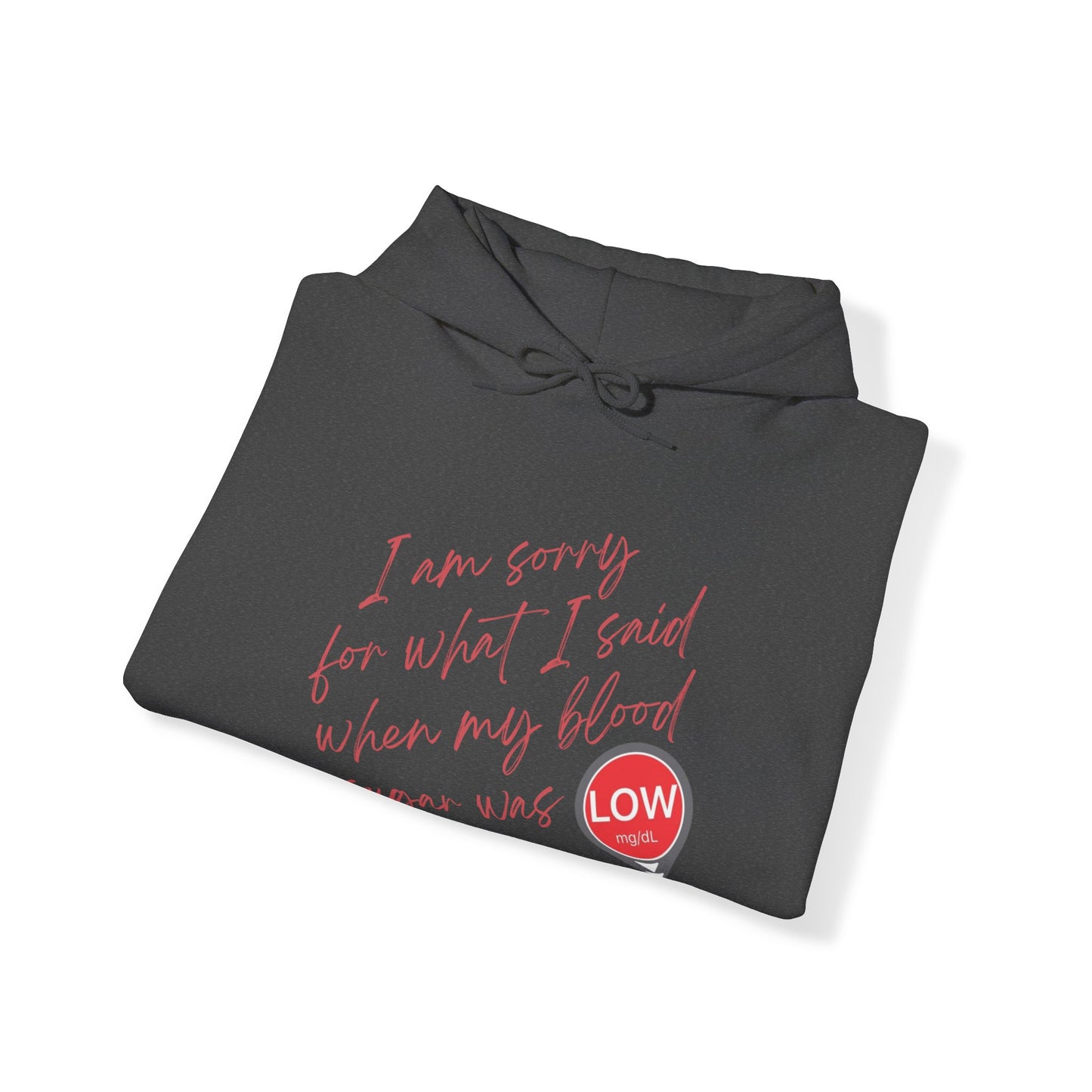 Sorry. I Was Low (Hooded Sweatshirt)