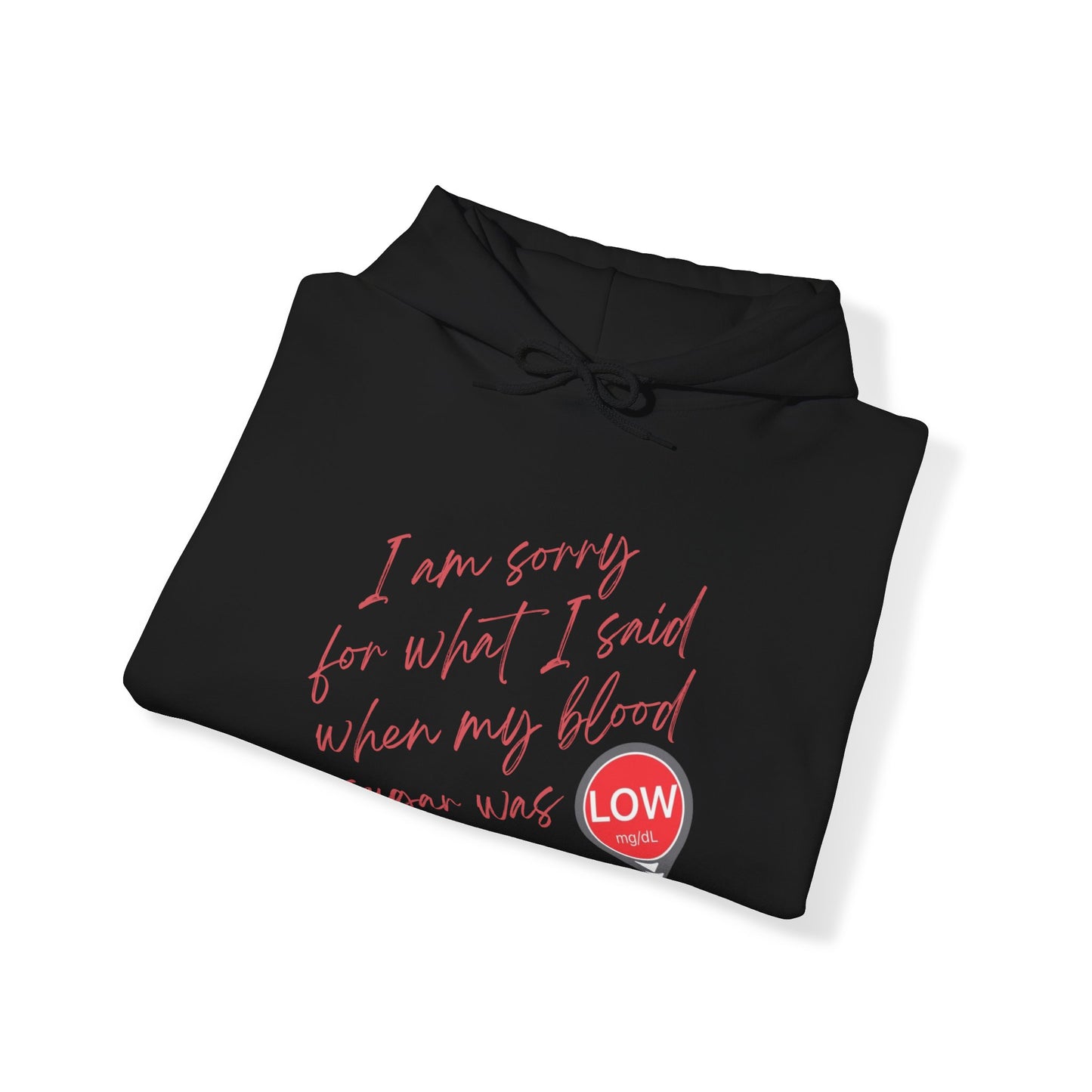 Sorry. I Was Low (Hooded Sweatshirt)