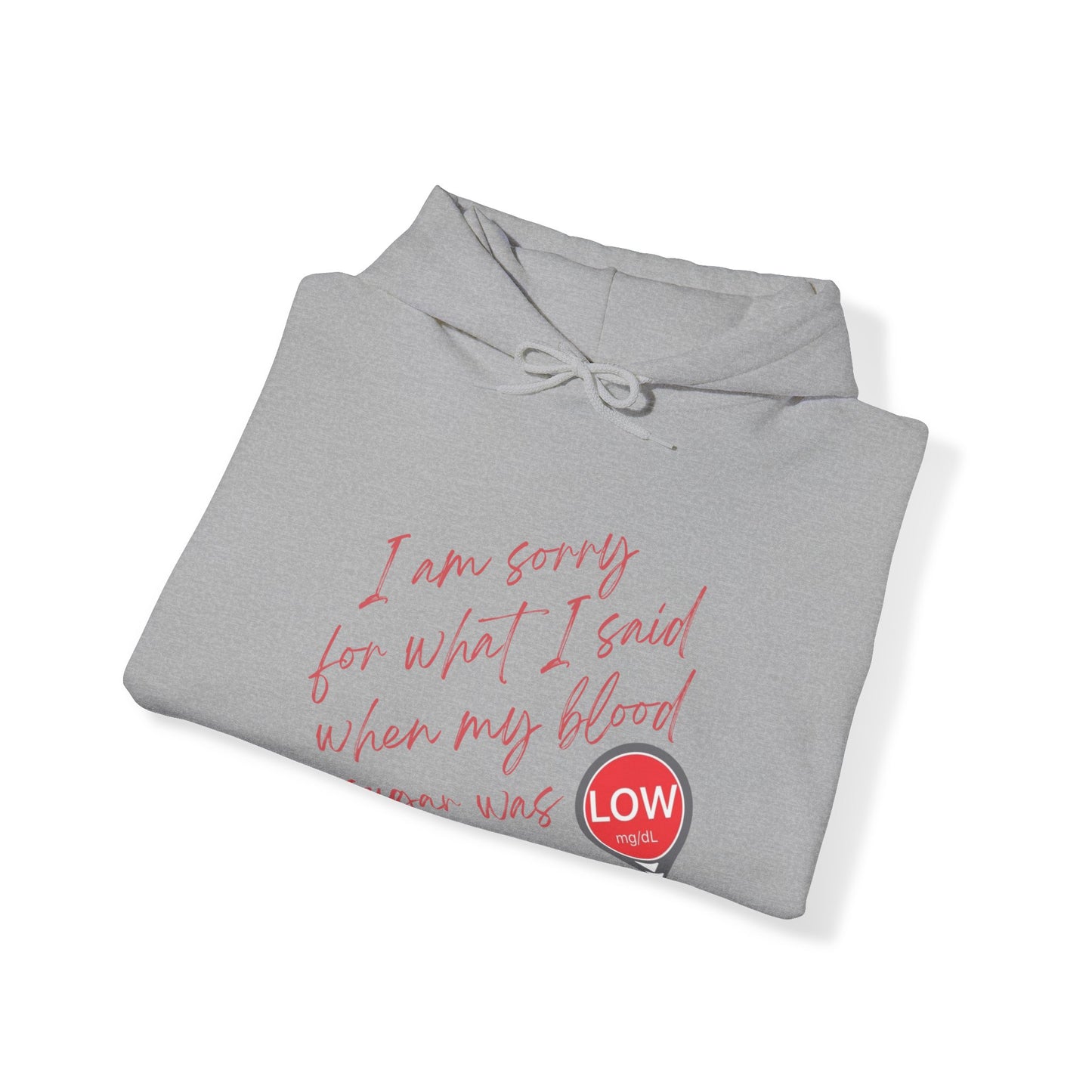 Sorry. I Was Low (Hooded Sweatshirt)